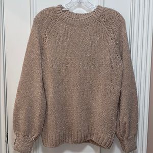Sparkly Sweater